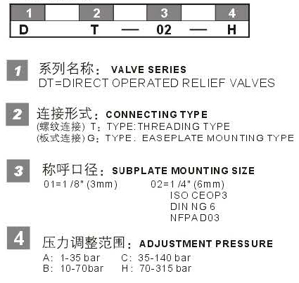 DT DG型號(hào)說(shuō)明.jpg